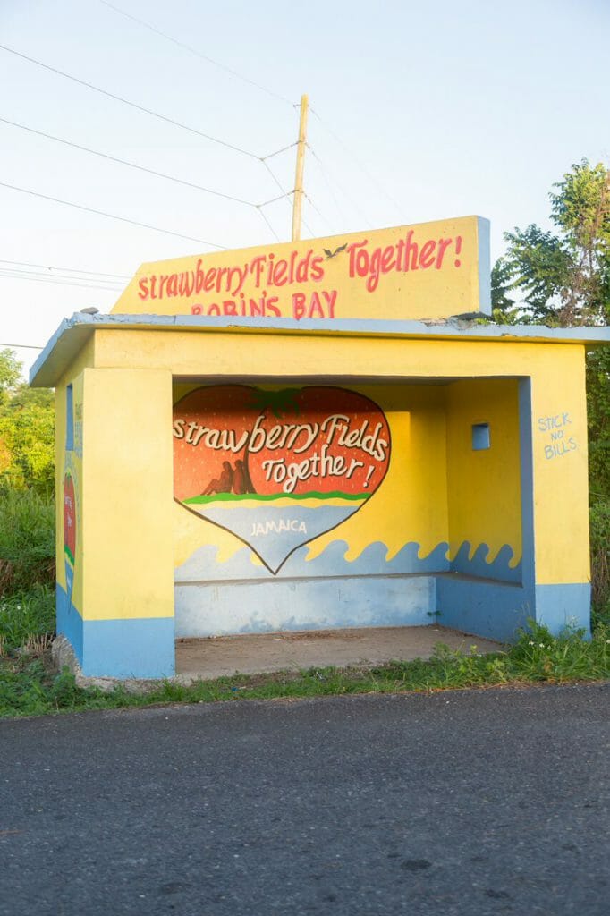 Strawberry Fields Together