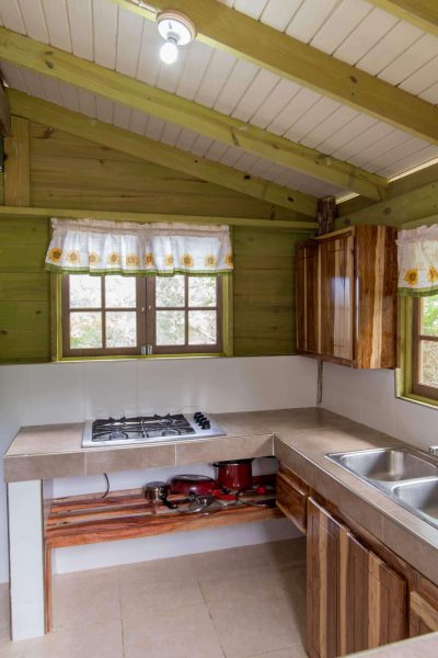 Kitchen 001